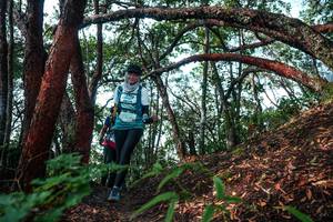 BIB: 
                            <button type="button" onclick="openModal(26345147)" class="btn btn-primary btn-sm float-right btn-popup" data-toggle="modal" data-target=".modal-high-quality">
                        <i class="fas fa-shopping-cart"></i> Add to Cart
                    </button>
                                            <button type="button" onclick="isThisMe(26345147, true)" class="btn btn-success btn-sm float-right btn-popup btn-isme hidden" data-toggle="tooltip" data-placement="bottom" title="นี่คือรูปของคุณใช่ไหม คลิกที่นี่เพื่อเอาเข้าอัลบั้ม">
                        <i class="fas fa-plus"></i> Add to album
                    </button>
                    <button type="button" onclick="isThisMe(26345147, false)" class="btn btn-warning btn-sm float-right btn-popup btn-isnotme hidden">
                        <i class="fas fa-ban"></i> Remove from album
                    </button>